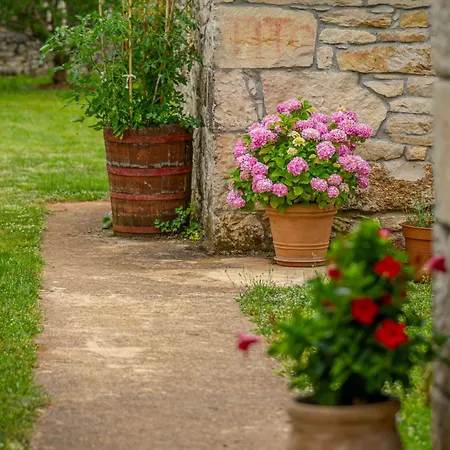 Semesterbostad Marija By Interhome Mali Turini